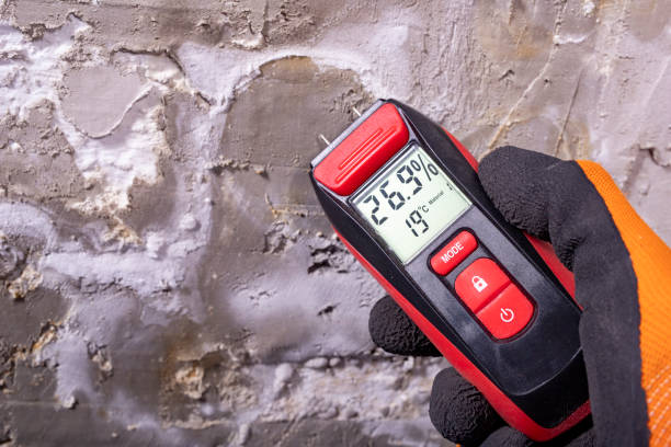 Best DIY Mold Remediation Support Services in Eerlin, ND